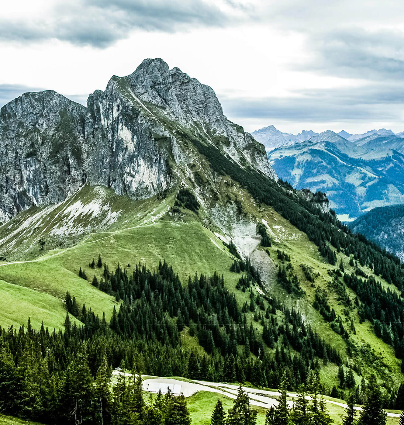 Berglandschaft mit Wald